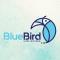 Blue Bird