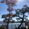 SUN PLAZA HOTEL 富士山中湖