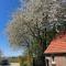 B&B Driel