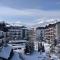 BREATHTAKING Mountain view 3 bedrooms appartement