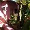 Agonda pink house