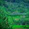 Astral Zone Cottage Scenic Mountain view Stay Ella