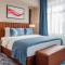 Ramada by Wyndham Astana - جناح الملك المبتدئ - غير المدخنين