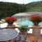 Premium villa with terrace