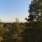 Spacious 68m2 apartment with fabulous forest view