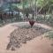 African Sky Bush Camp