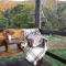 Rustic Hut Bush Retreat