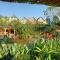 Yellow Haven Lodge