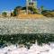 Shambala Beach House-where mountains meet the sea