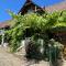 Saschiz 130/Lodging and Glamping