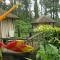 Exotica The Beach Resort