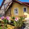 Apartman Majetić