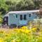 The Shepherd's Hut