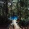 Overo Lodge & Selva
