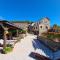 Mes Maisons - Two Gites with Private and Shared pools in Cévennes