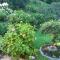 TOP Garden View