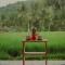 Da'kayu Glamping