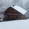 CHALET 6 PERSONNES SUR PISTE