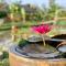Discovery Mekong local's life - Breakfast TwoBoatTours Included for 2nights