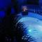 Apartament JACUZZI PRESTIGE EXOTIC GREEN Rynek, Centrum, Prywatne Miejsce Parkingowe