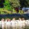 Nirvana Retreat By Patanjali Wellness Initiative