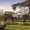 Gnu Ndutu Camp