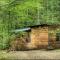 Log Cabin Tiny Home