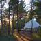 Forest Days