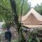 Go Wild Glamping