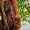 Lucky Bamboo'Bungalows-Resto and Orangutan Jungle Trekking Tours