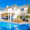 Ocean View Villa