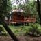 Agradable Cabaña inserta en bosque nativo