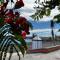Magnificent and New apartment in Playa San Juan
