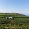 Tenuta di Castellaro Winery & Resort