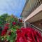 Apartman Anchor 2