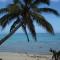 Absolute Beachfront - A Slice of Paradise!