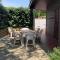 patio seignosse plage 6 couchages