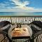 Best beach front vacation, Ocean View, 8th Flr