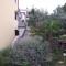APARTMAN ROSEMARY
