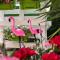 Casa Flamingo