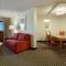 Hilton Suites Chicago/Oakbrook Terrace - Suite De 1 Quarto King Conference