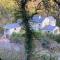 Woodland Cottage in Fabulous South Devon Location