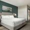 Hotel Alba Tampa, Tapestry Collection By Hilton - Cama King Con Vista A La Ciudad