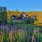 Luxurious, well-Equipped and modern Cabin by the Cross-Country Ski Trails