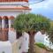 Acoran Family Ocean View Guest House With Daily Yoga Practice Included North Gran Canaria PRIVATE ROOM PET FRIENDLY
