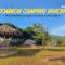 Common Camping KhaoYai