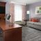 Hampton Inn & Suites Orlando Airport at Gateway Village - King Studio Suite - Niet Roken