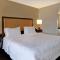 Hampton Inn NY-JFK - King Room - Accesso Alla Mobilità/Non Fumatori