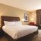 Hilton Garden Inn Boston Logan Airport - Habitación King
