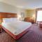 Hilton Garden Inn Manchester Downtown - Habitación King Con Bañera - Movilidad Y Acceso A La Audición